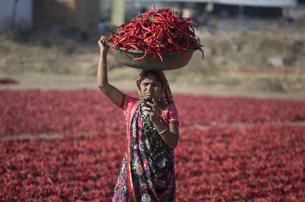 This Week in Pictures (February 24 - March 2) - Sputnik International