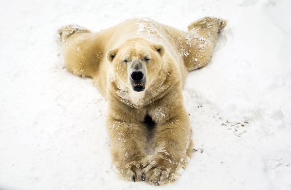 This Week in Pictures (February 24 - March 2) - Sputnik International