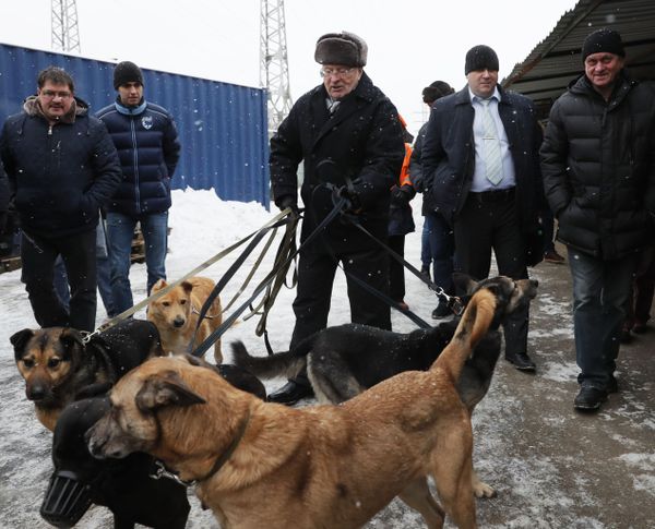 Vladimir Zhirinovsky: Industrialization Without Migrants - Sputnik International