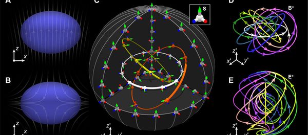Creation of the Shankar skyrmion and its synthetic electromagnetic fields Creation of the Shankar skyrmion and its synthetic electromagnetic fields - Sputnik International