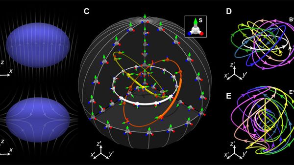 Creation of the Shankar skyrmion and its synthetic electromagnetic fields - Sputnik International