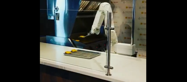 Flippy the burger-flipping robot starts working at CaliBurger in Pasadena, California Flippy the burger-flipping robot starts working at CaliBurger in Pasadena, California - Sputnik International