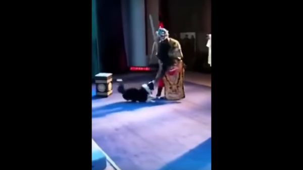 Dog wants to play during a performance - Sputnik International