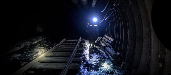 A miner (File) A miner (File) - Sputnik International