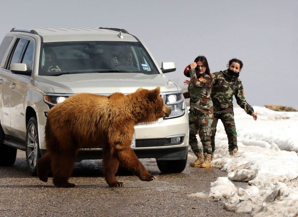 This Week in Pictures (March 3-9) This Week in Pictures (March 3-9) - Sputnik International