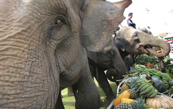 This Week in Pictures (March 3-9) This Week in Pictures (March 3-9) - Sputnik International
