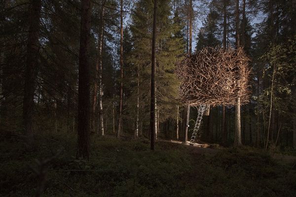 Treehotel, Harads, Sweden Treehotel, Harads, Sweden - Sputnik International