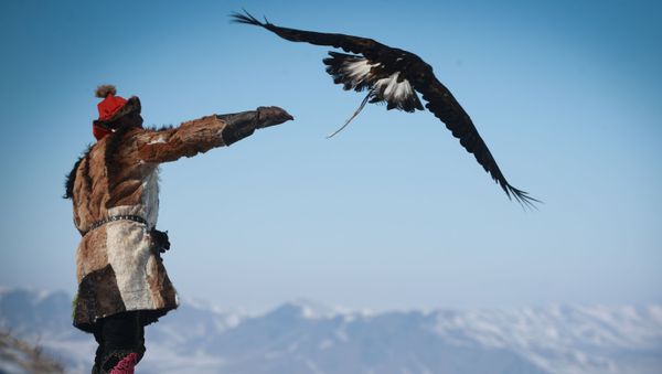 Mongolian Spring Golden Eagle Festival in Pictures - Sputnik International