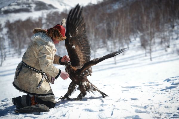 Mongolian Spring Golden Eagle Festival in Pictures Mongolian Spring Golden Eagle Festival in Pictures - Sputnik International