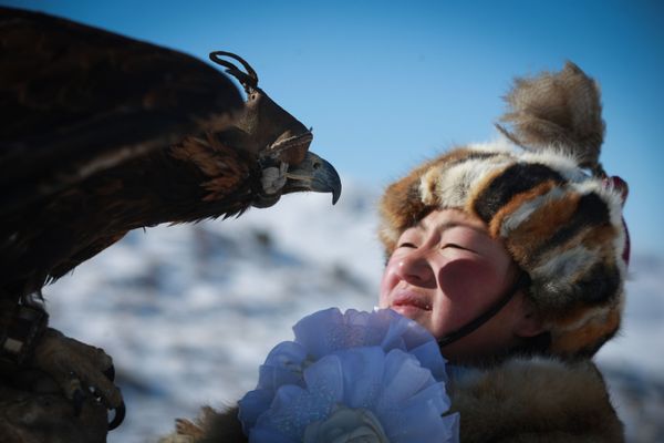 Mongolian Spring Golden Eagle Festival in Pictures Mongolian Spring Golden Eagle Festival in Pictures - Sputnik International
