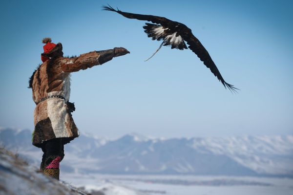 Mongolian Spring Golden Eagle Festival in Pictures Mongolian Spring Golden Eagle Festival in Pictures - Sputnik International