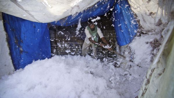 In this Feb. 18, 2014 file photo, an Indian worker processes cotton for quilts at a factory on the outskirts of Jammu, India - Sputnik International