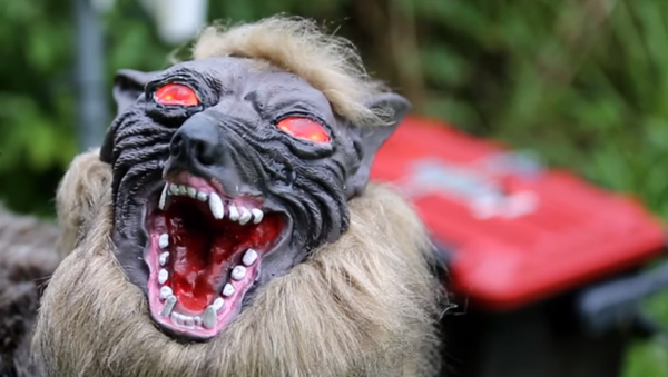 New 'Super Monster Wolf' robot gets enlisted to protect crops from wild boars in Japan - Sputnik International