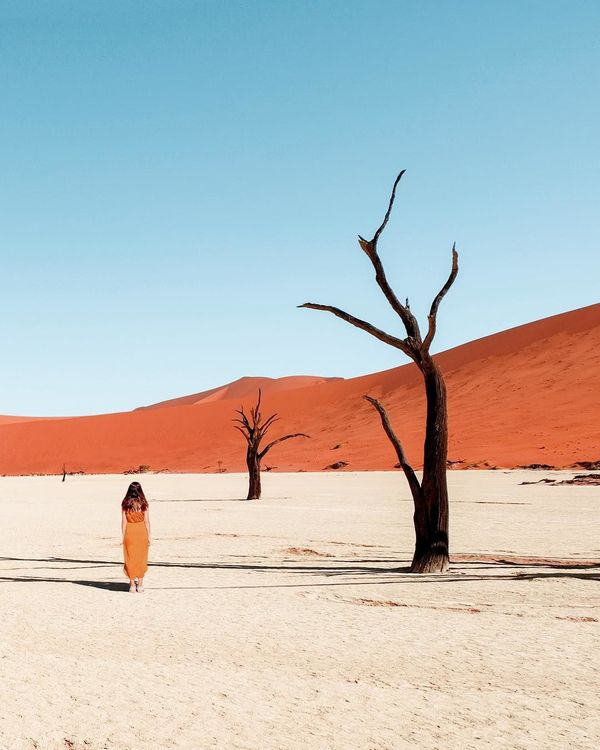 Namibian landscape Namibian landscape - Sputnik International