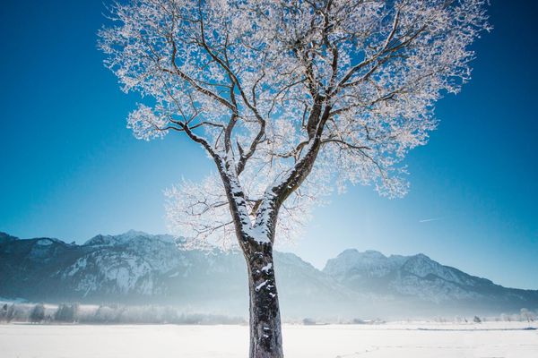 Frozen in Alpes Frozen in Alpes - Sputnik International