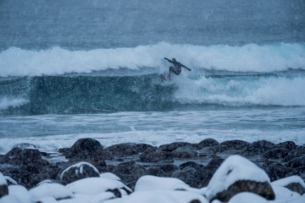 Frosty Shores, Flashy Green Horizons: The Thrill of Winter Surfing Frosty Shores, Flashy Green Horizons: The Thrill of Winter Surfing - Sputnik International