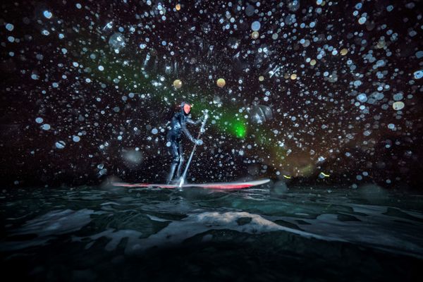 Frosty Shores, Flashy Green Horizons: The Thrill of Winter Surfing Frosty Shores, Flashy Green Horizons: The Thrill of Winter Surfing - Sputnik International