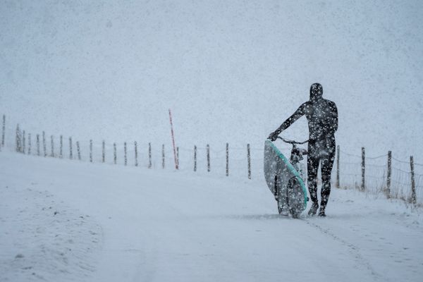 Frosty Shores, Flashy Green Horizons: The Thrill of Winter Surfing Frosty Shores, Flashy Green Horizons: The Thrill of Winter Surfing - Sputnik International