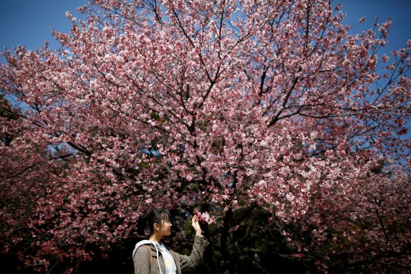 This Week in Pictures: March 10-16 - Sputnik International