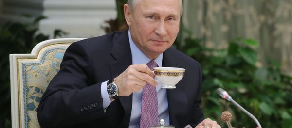 Russian President Vladimir Putin (File) Russian President Vladimir Putin (File) - Sputnik International