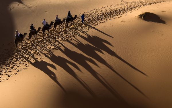 Desert Stallion Race ‘Gallops of Morocco’ Participants Endure Rough Conditions - Sputnik International