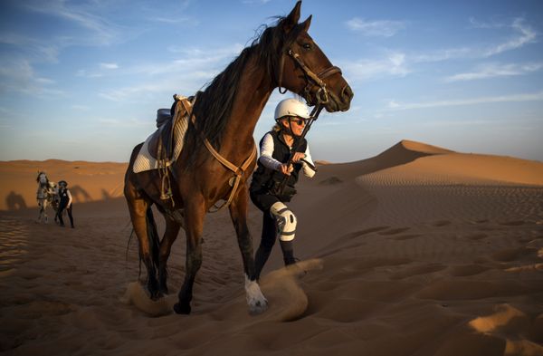 Desert Stallion Race ‘Gallops of Morocco’ Participants Endure Rough Conditions - Sputnik International