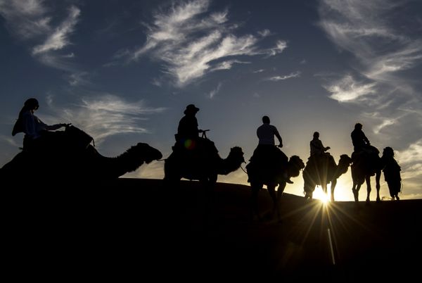 Desert Stallion Race ‘Gallops of Morocco’ Participants Endure Rough Conditions - Sputnik International