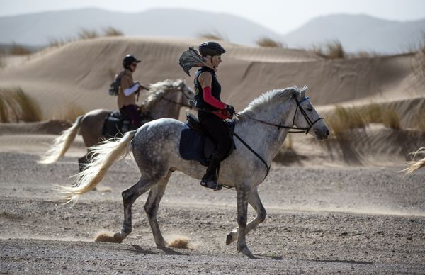 Desert Stallion Race ‘Gallops of Morocco’ Participants Endure Rough Conditions - Sputnik International