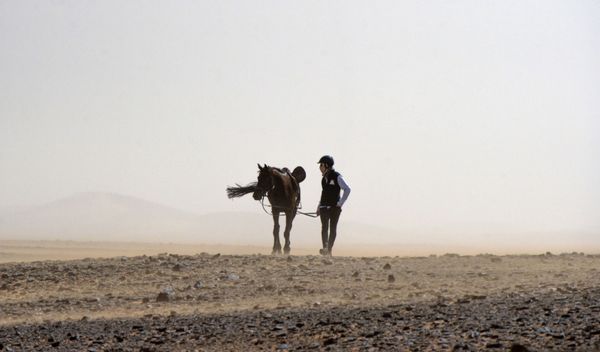 Desert Stallion Race ‘Gallops of Morocco’ Participants Endure Rough Conditions - Sputnik International