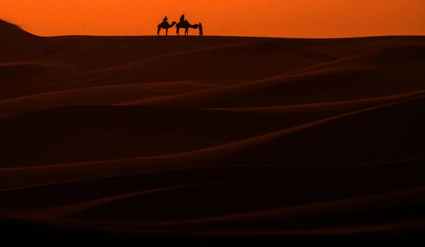 Desert Stallion Race ‘Gallops of Morocco’ Participants Endure Rough Conditions - Sputnik International