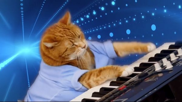 Keyboard Cat, Bento, A Tribute Keyboard Cat, Bento, A Tribute - Sputnik International