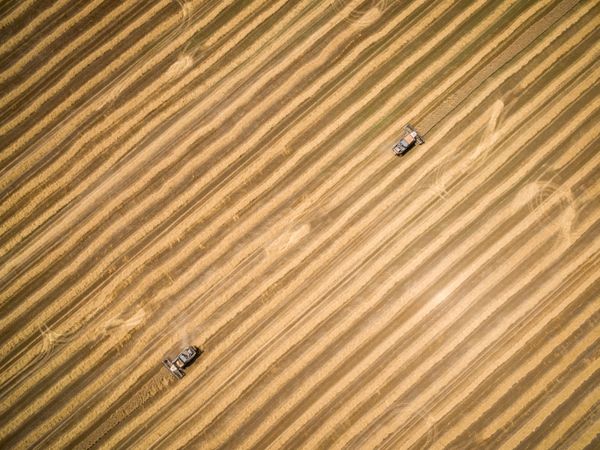 Geometry of Natural Landscapes - Sputnik International