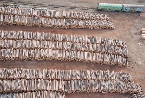 Geometry of Natural Landscapes - Sputnik International
