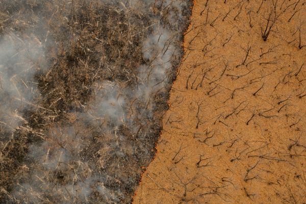 Geometry of Natural Landscapes - Sputnik International