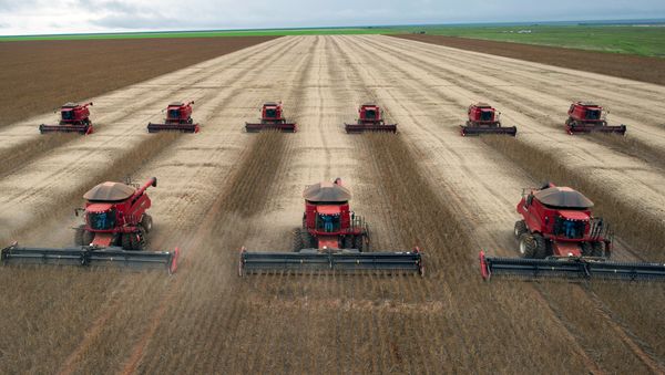 Combine harvesters crop soybeans. (File) Combine harvesters crop soybeans. (File) - Sputnik International