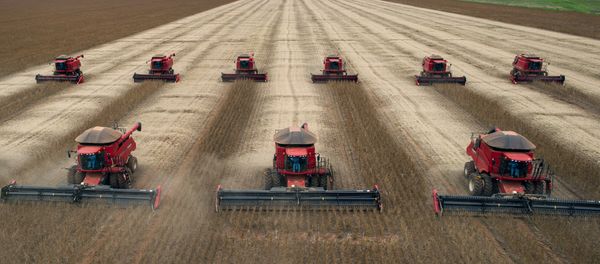 Combine harvesters crop soybeans. (File) Combine harvesters crop soybeans. (File) - Sputnik International