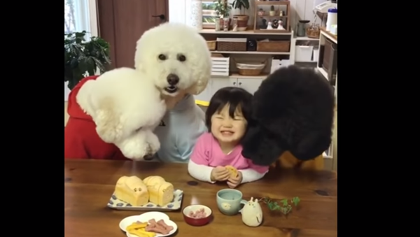 Toddler Selflessly Snacks with Three of Her Closest Buds - Sputnik International