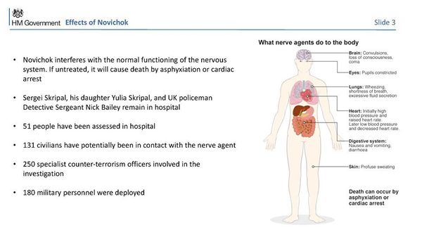 Slide 3 of the Salisbury Incident presentation - Sputnik International