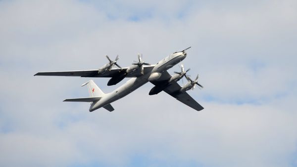 A TU-142 anti-submarine aircraft. File photo - Sputnik International