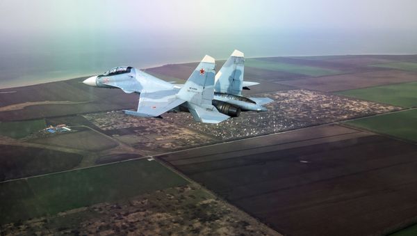 A Sukhoi Su-30SM Flanker-C fighter during the Aviadarts 2018 international competition in Krasnodar Territory. Image taken through glass - Sputnik International