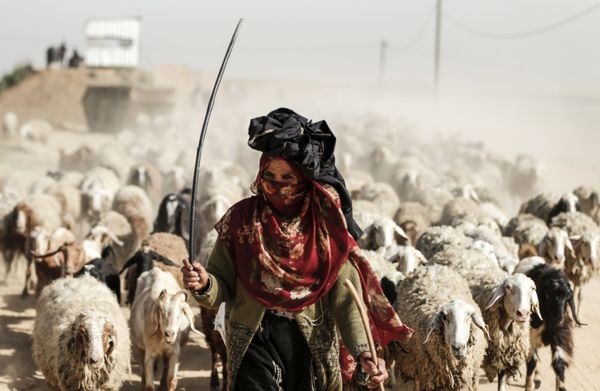 This Week in Pictures: March 24-30 - Sputnik International