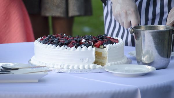Cake - Sputnik International
