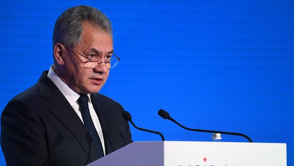 Defense Minister Sergei Shoigu speaks at the 7th Moscow Conference on International Security - Sputnik International