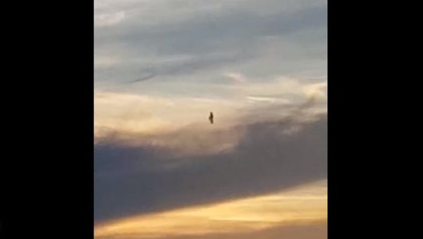 ‘Human-shaped’ figure in the sky ‘Human-shaped’ figure in the sky - Sputnik International