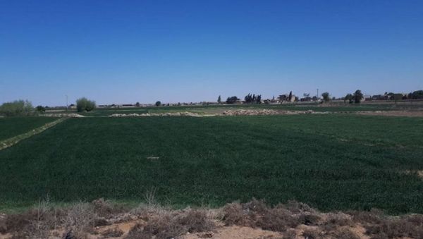 Deir ez-Zor, Syria - Sputnik International