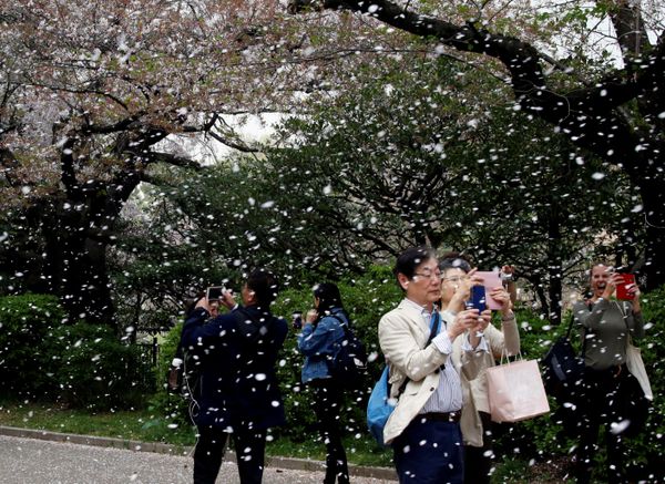 This Week in Pictures: March 31 - April 6 - Sputnik International