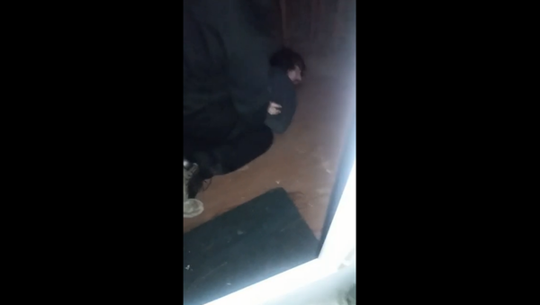 Michigan boxer streams home intruder's beat-down on Facebook - Sputnik International