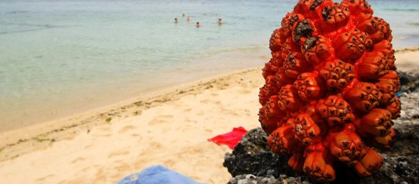 Indonesia beach Indonesia beach - Sputnik International