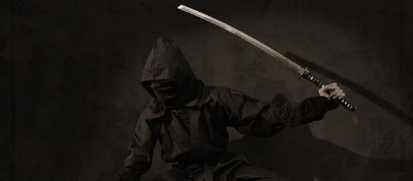 Ninja Ninja - Sputnik International