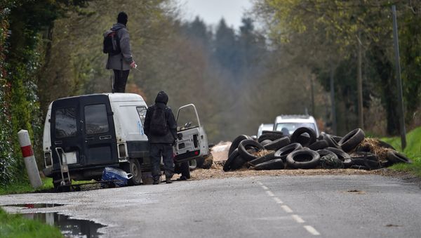 Zad activists look at French gendarmes from a barricade in an area known as ZAD (Zone a Defendre - Zone to defend) with environmental protesters occupying the site of what had been a proposed new airport in Notre dame des Landes - Sputnik International
